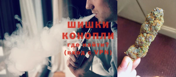 прущий лед Бородино