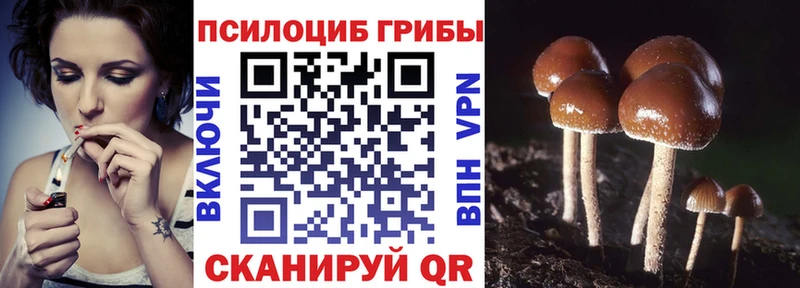 Галлюциногенные грибы прущие грибы  Купить  Вязники 