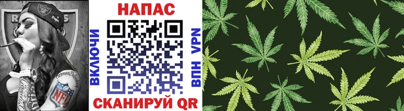 Бошки марихуана THC 21%  Купить  Вязники 